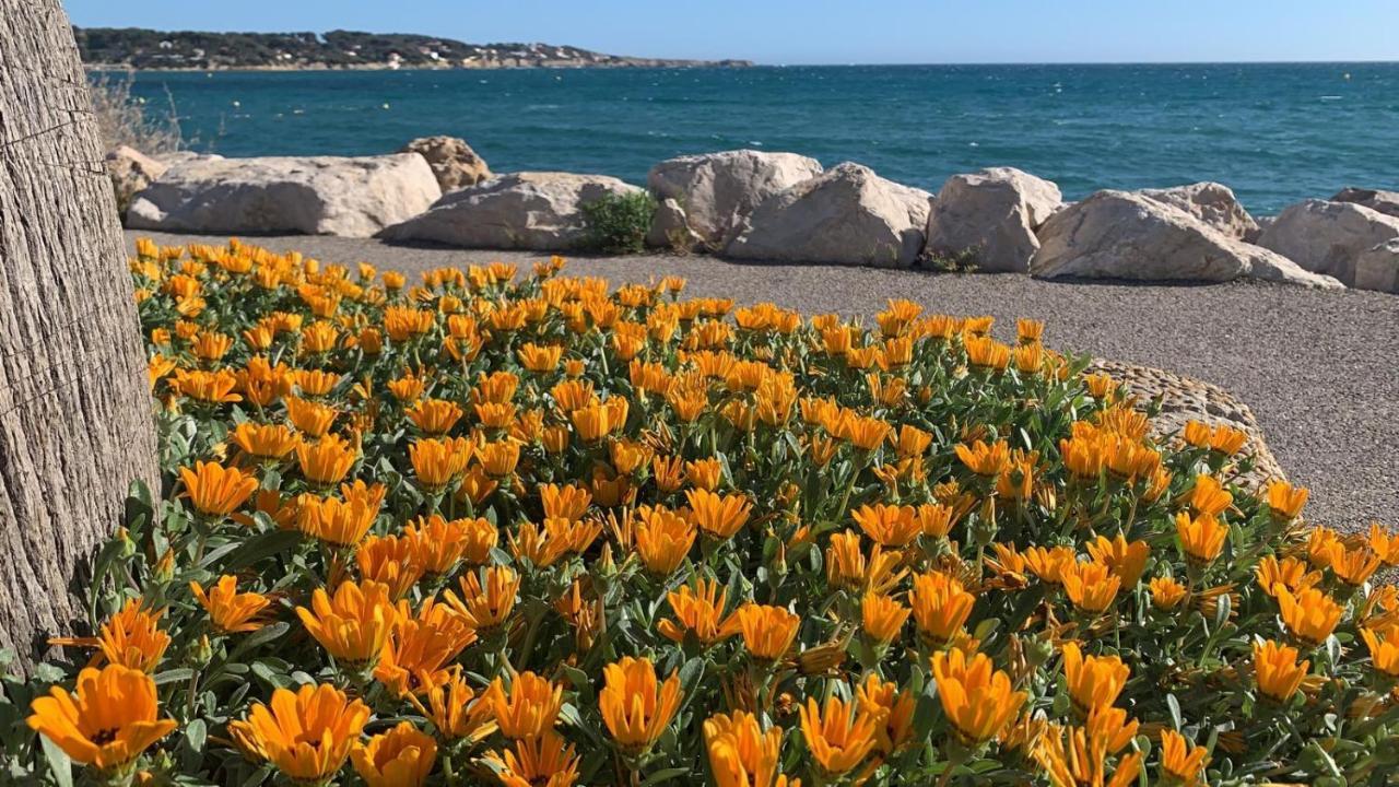 Les Appartements De La Marina Sanary-sur-Mer Kültér fotó