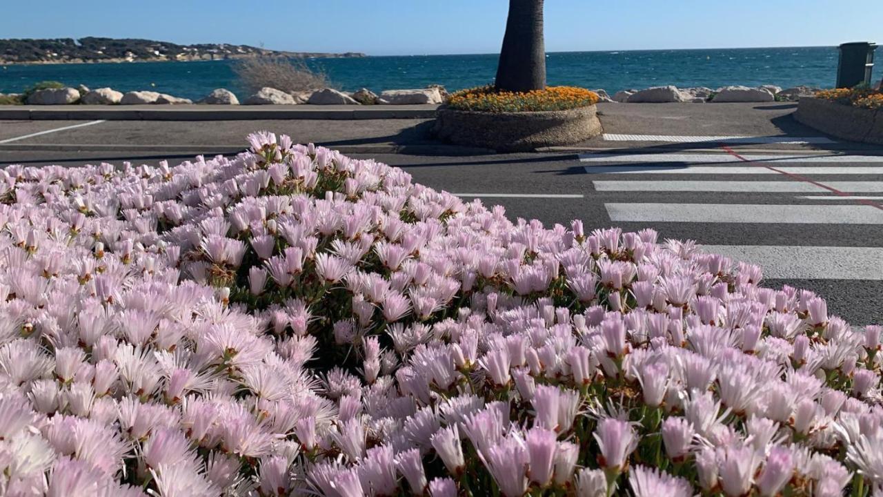 Les Appartements De La Marina Sanary-sur-Mer Kültér fotó